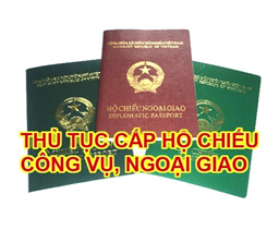 Mẫu tờ khai cấp đổi hộ chiếu công vụ và hộ chiếu ngoại giao