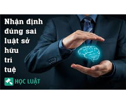 Luật sư tư vấn pháp luật sở hữu trí tuệ trực tuyến qua tổng đài điện thoại