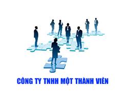 Hồ sơ thành lập Công ty TNHH 1 thành viên