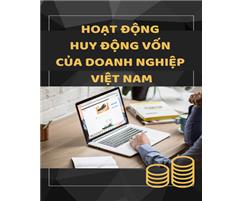 HOẠT ĐỘNG HUY ĐỘNG VỐN CỦA DOANH NGHIỆP VIỆT NAM