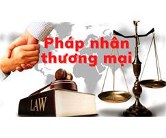 Thủ tục tố tụng truy cứu trách nhiệm hình sự pháp nhân thương mại như thế nào?