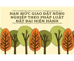 HẠN MỨC GIAO ĐẤT NÔNG NGHIỆP THEO PHÁP LUẬT ĐẤT ĐAI HIỆN HÀNH